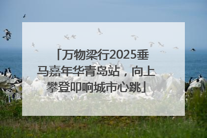 万物梁行2025垂马嘉年华青岛站，向上攀登叩响城市心跳