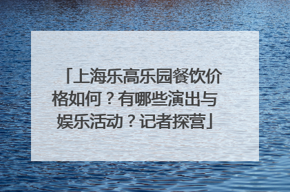 上海乐高乐园餐饮价格如何？有哪些演出与娱乐活动？记者探营