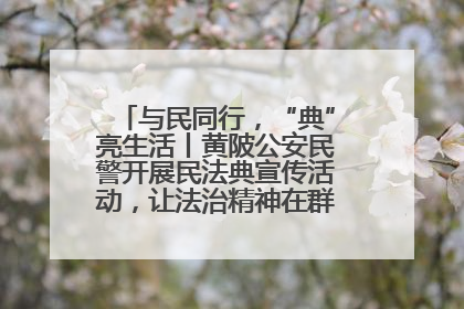 与民同行，“典”亮生活丨黄陂公安民警开展民法典宣传活动，让法治精神在群众心中落地生根