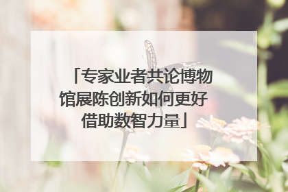专家业者共论博物馆展陈创新如何更好借助数智力量