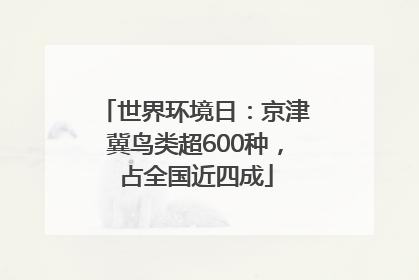 世界环境日：京津冀鸟类超600种，占全国近四成