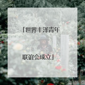 世界丰泽青年联谊会成立