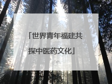 世界青年福建共探中医药文化