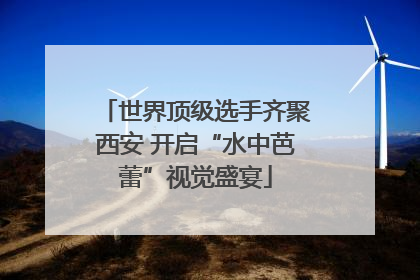 世界顶级选手齐聚西安 开启“水中芭蕾”视觉盛宴