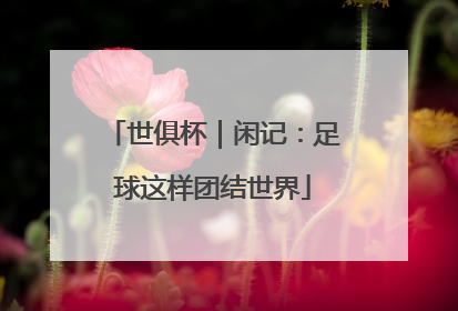 世俱杯｜闲记：足球这样团结世界