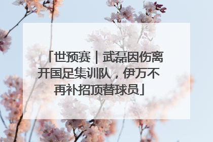 世预赛｜武磊因伤离开国足集训队，伊万不再补招顶替球员