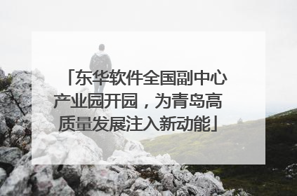 东华软件全国副中心产业园开园，为青岛高质量发展注入新动能