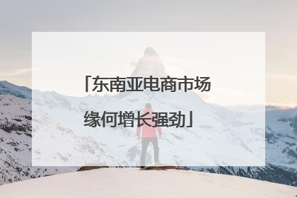 东南亚电商市场缘何增长强劲
