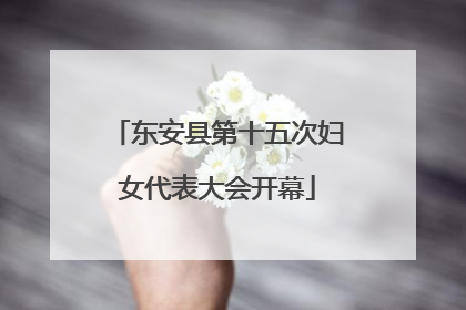 东安县第十五次妇女代表大会开幕
