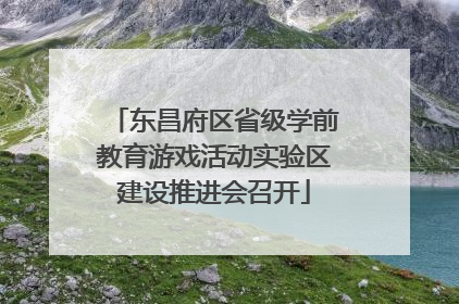 东昌府区省级学前教育游戏活动实验区建设推进会召开