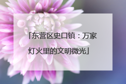 东营区史口镇：万家灯火里的文明微光