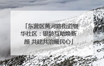 东营区黄河路街道物华社区：银龄互助焕新颜 共建共治暖民心