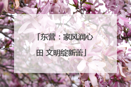 东营：家风润心田 文明绽新蕾
