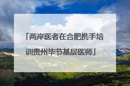 两岸医者在合肥携手培训贵州毕节基层医师