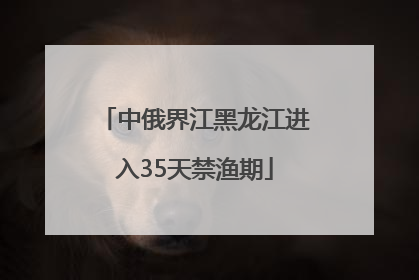 中俄界江黑龙江进入35天禁渔期