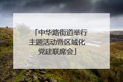 中华路街道举行主题活动暨区域化党建联席会
