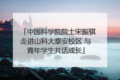 中国科学院院士宋振骐走进山科大泰安校区 与青年学生共话成长