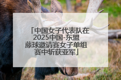 中国女子代表队在2025中国-东盟藤球邀请赛女子单组赛中斩获亚军