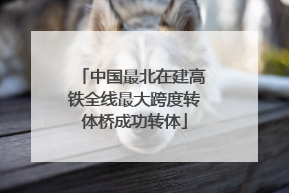 中国最北在建高铁全线最大跨度转体桥成功转体