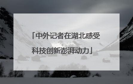 中外记者在湖北感受科技创新澎湃动力
