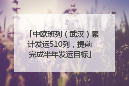 中欧班列（武汉）累计发运510列，提前完成半年发运目标