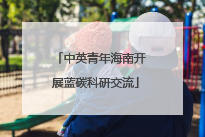 中英青年海南开展蓝碳科研交流