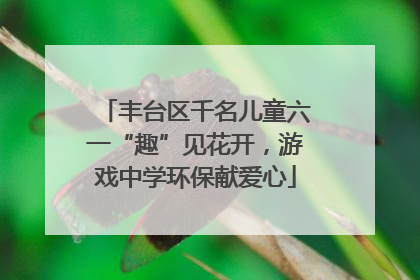 丰台区千名儿童六一“趣”见花开，游戏中学环保献爱心