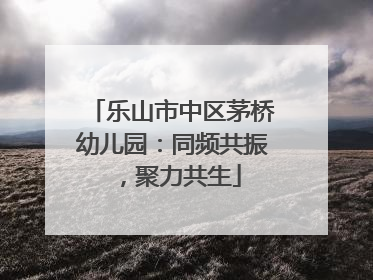 乐山市中区茅桥幼儿园：同频共振，聚力共生