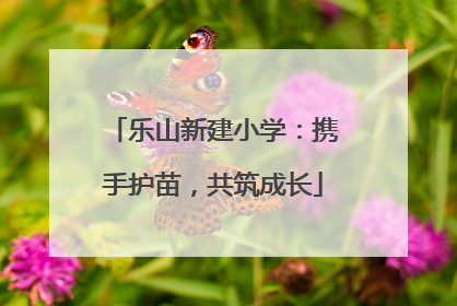 乐山新建小学：携手护苗，共筑成长