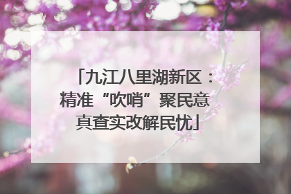 九江八里湖新区：精准“吹哨”聚民意 真查实改解民忧