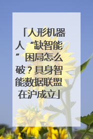 人形机器人“缺智能”困局怎么破？具身智能数据联盟在沪成立