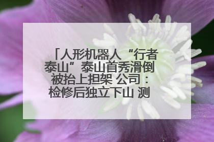人形机器人“行者泰山”泰山首秀滑倒被抬上担架 公司：检修后独立下山 测试就是为暴露问题