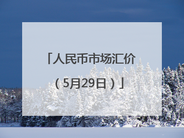 人民币市场汇价（5月29日）
