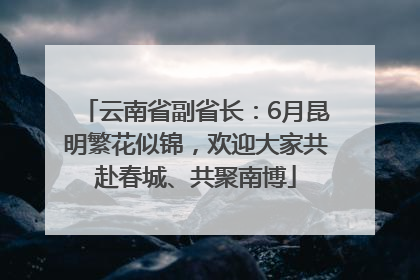 云南省副省长：6月昆明繁花似锦，欢迎大家共赴春城、共聚南博