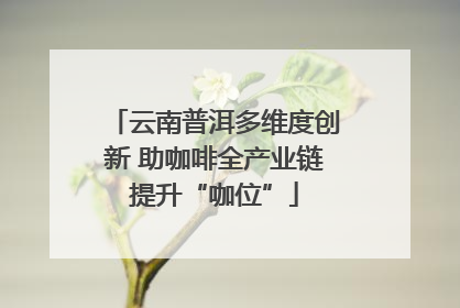云南普洱多维度创新 助咖啡全产业链提升“咖位”