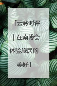 云岭时评｜在南博会体验旅居的美好