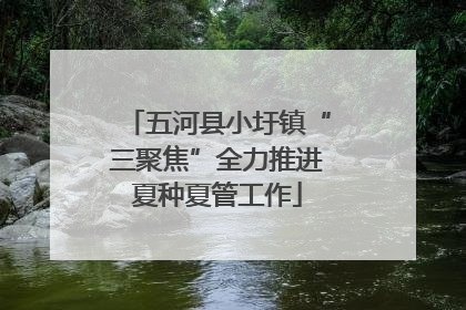 五河县小圩镇“三聚焦”全力推进夏种夏管工作