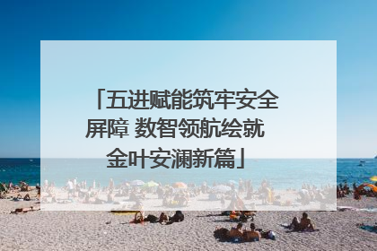 五进赋能筑牢安全屏障 数智领航绘就金叶安澜新篇