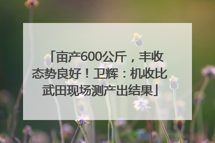亩产600公斤，丰收态势良好！卫辉：机收比武田现场测产出结果