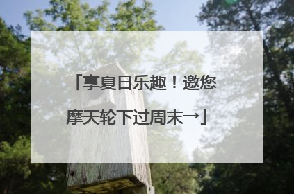 享夏日乐趣！邀您摩天轮下过周末→