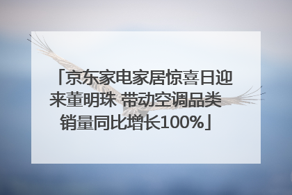 京东家电家居惊喜日迎来董明珠 带动空调品类销量同比增长100%