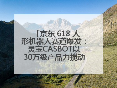 京东 618 人形机器人赛道爆发：灵宝CASBOT以30万级产品力搅动行业新变局
