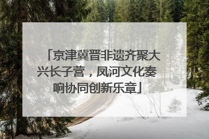 京津冀晋非遗齐聚大兴长子营，凤河文化奏响协同创新乐章