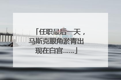 任职最后一天，马斯克眼角淤青出现在白宫……