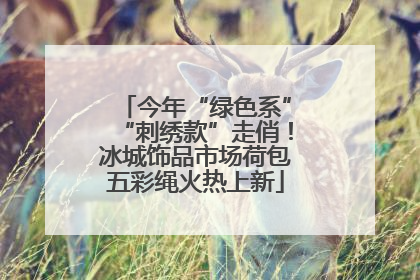 今年“绿色系”“刺绣款”走俏！冰城饰品市场荷包五彩绳火热上新