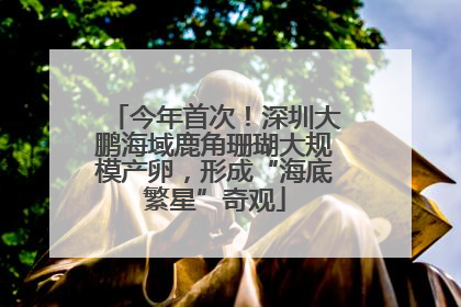 今年首次！深圳大鹏海域鹿角珊瑚大规模产卵，形成“海底繁星”奇观