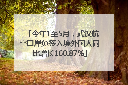 今年1至5月，武汉航空口岸免签入境外国人同比增长160.87%