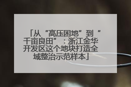 从“高压困地”到“千亩良田”：浙江金华开发区这个地块打造全域整治示范样本