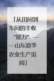 从田间到车间的丰收“接力”——山东夏季农业生产见闻