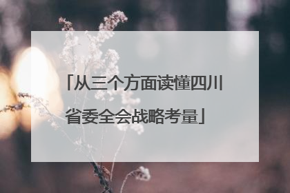 从三个方面读懂四川省委全会战略考量